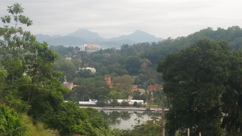 36 Bed & Breakfast image 11