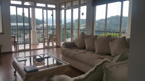 36 Bed & Breakfast image 14