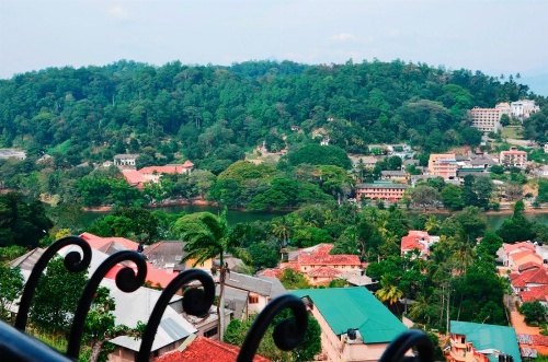 36 Bed & Breakfast image 3