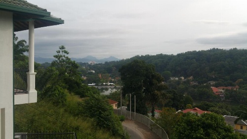 36 Bed & Breakfast image 6